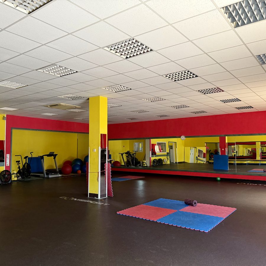 Telocvičňa s tatami